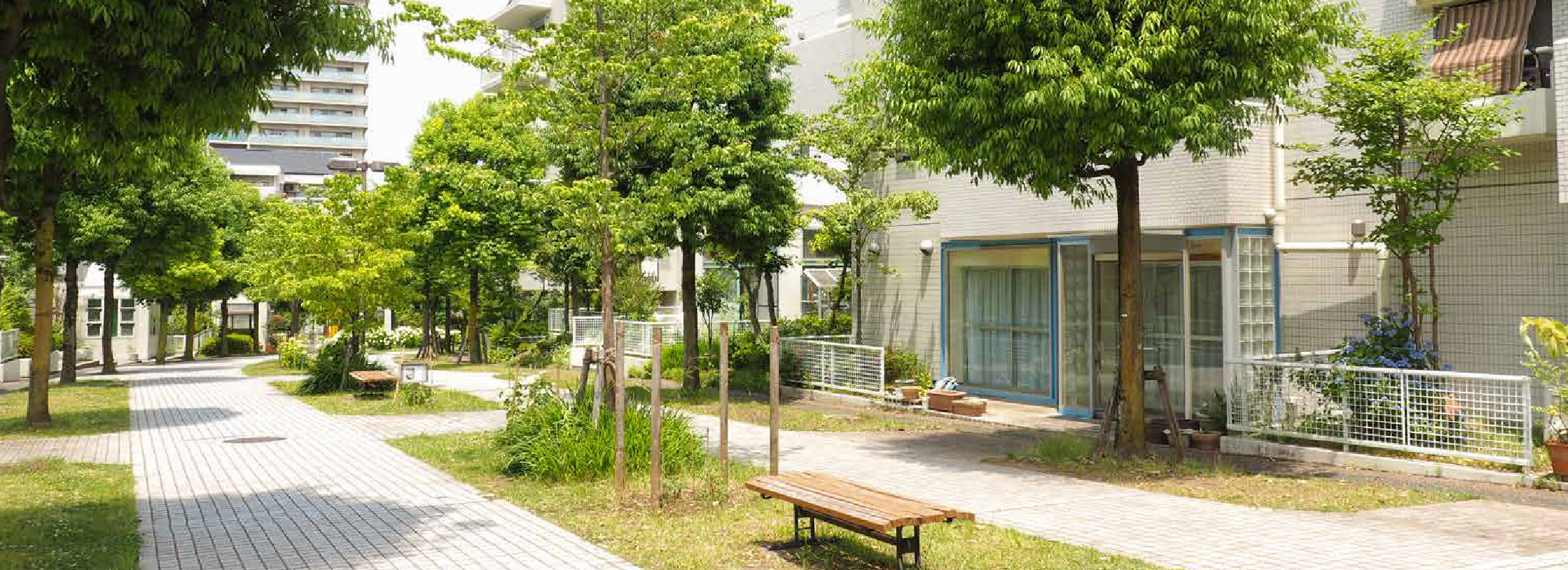 調達情報